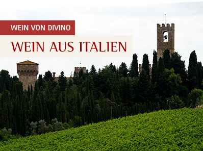 Wein aus Italien - divino Weinhandel