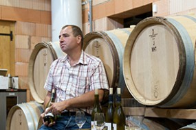 Jean-Pierre Michel: Chardonnay in Perfektion