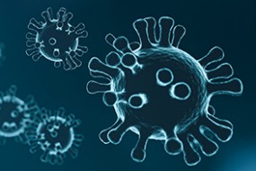 Corona-Virus – divino liefert weiter!
